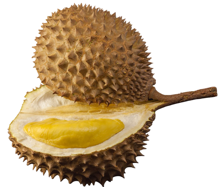 Durian-2kg ( ডুরিয়ান ২ কেজি )