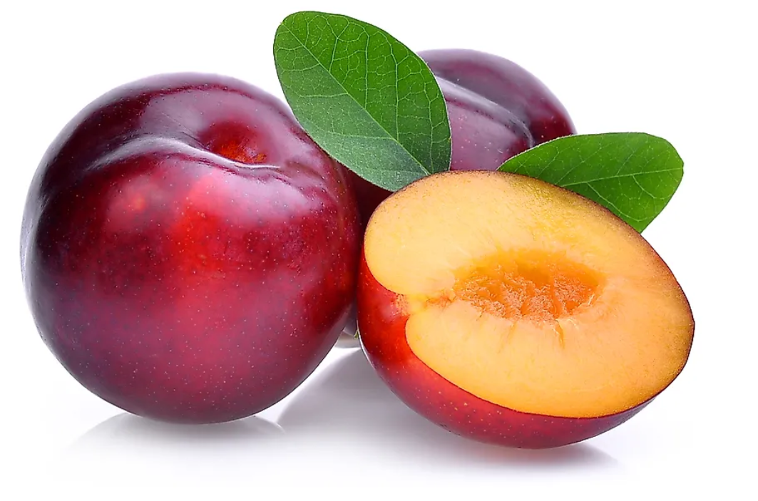 Plum-2kg ( প্লাম ২ কেজি )