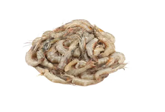 হরিনা চিংড়ি- প্রতি কেজি ৯০০ টাকা।