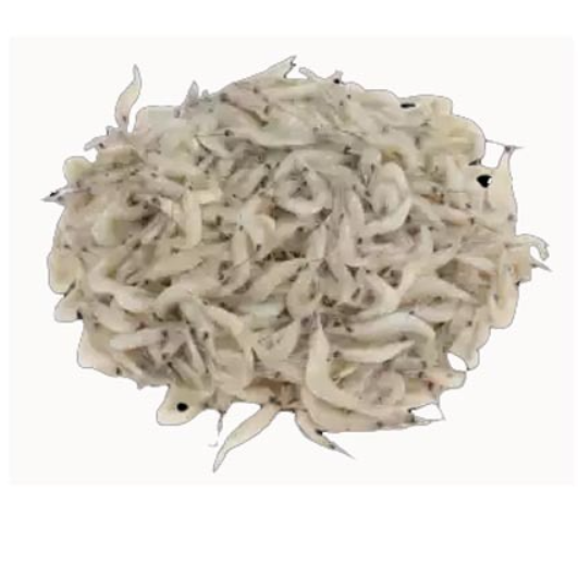 চালি চিংড়ি- প্রতি কেজি ১২৫০ টাকা