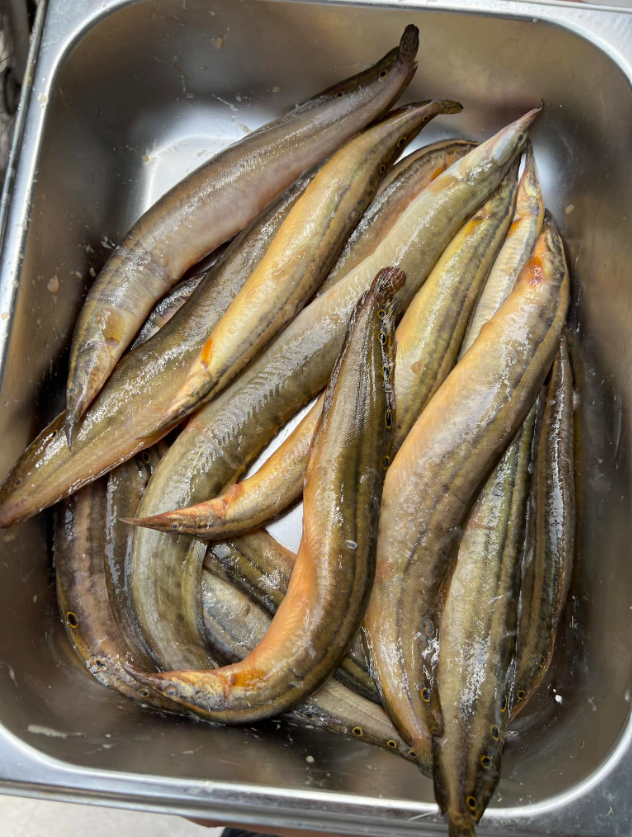 বড় বাইম - প্রতি কেজি ১৪৫০ টাকা