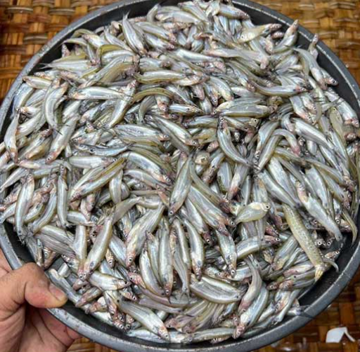 বাতাসি মাছ -প্রতি কেজি ১৪০০ টাকা