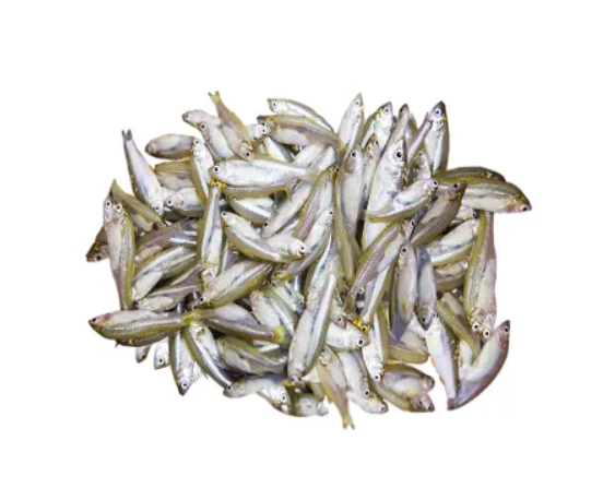 মলা মাছ - প্রতি কেজি ৭০০ টাকা