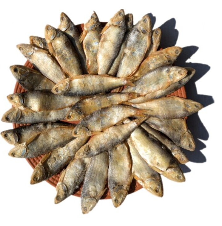 চ্যাপা শুটকি প্রতি কেজি ১০০০/- টাকা