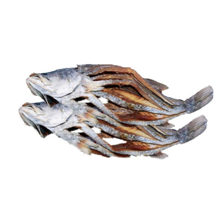 কোরাল শুটকি প্রতি কেজি ৩০০০/- টাকা