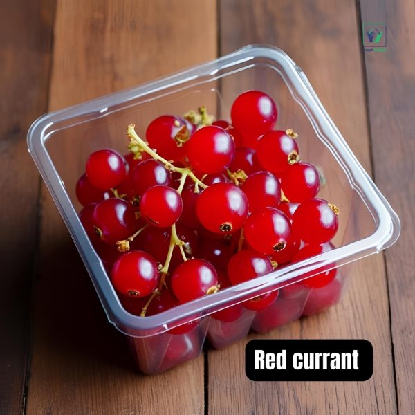 Red Currant