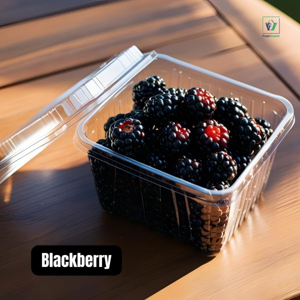 Blackberry (ব্লেকবেরি)
